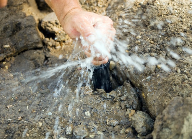 sprinkler head replacement