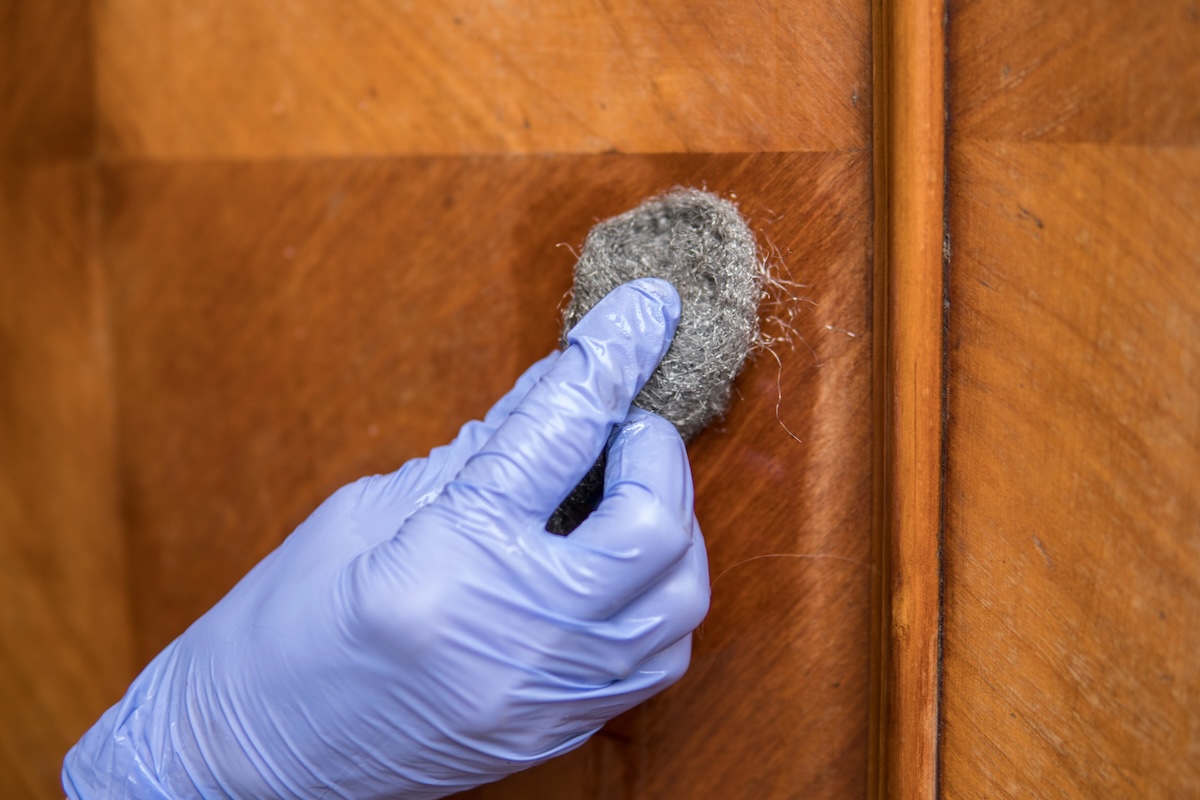 A hand wearing a purple latex glove uses a pad of steel wool to scrub off wood stain.