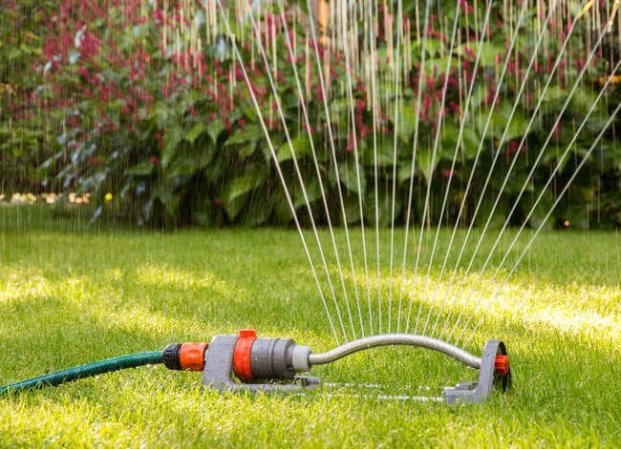 The Best Things You Can Do for Your Lawn