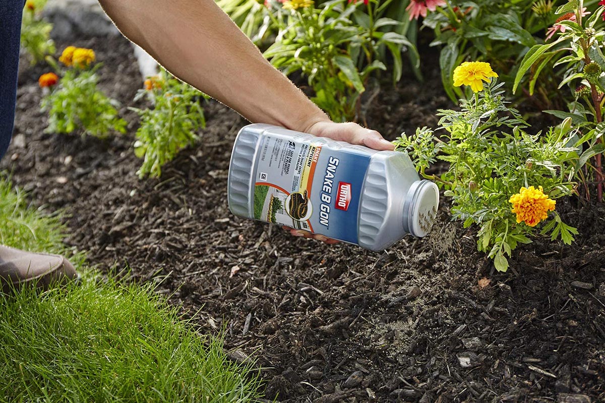 A person sprinkling the best snake repellent option near a lawn and blooming flowers