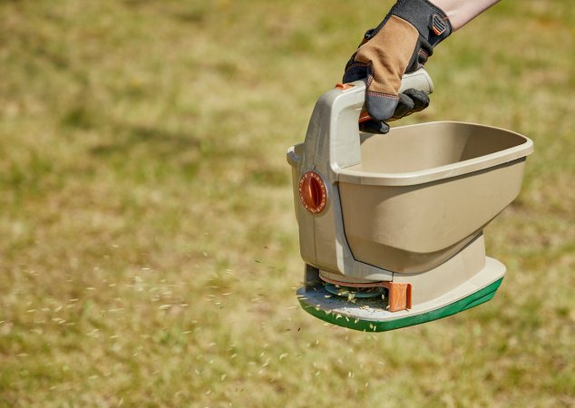 Close up view of grass seeds coming out of a handheld seed spreader.