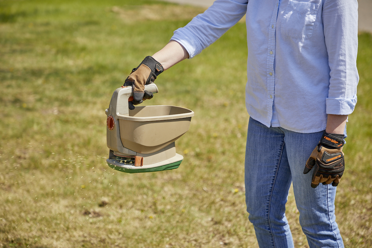 Woman uses handheld seed spreader to distribute seeds while overseeding a lawn.