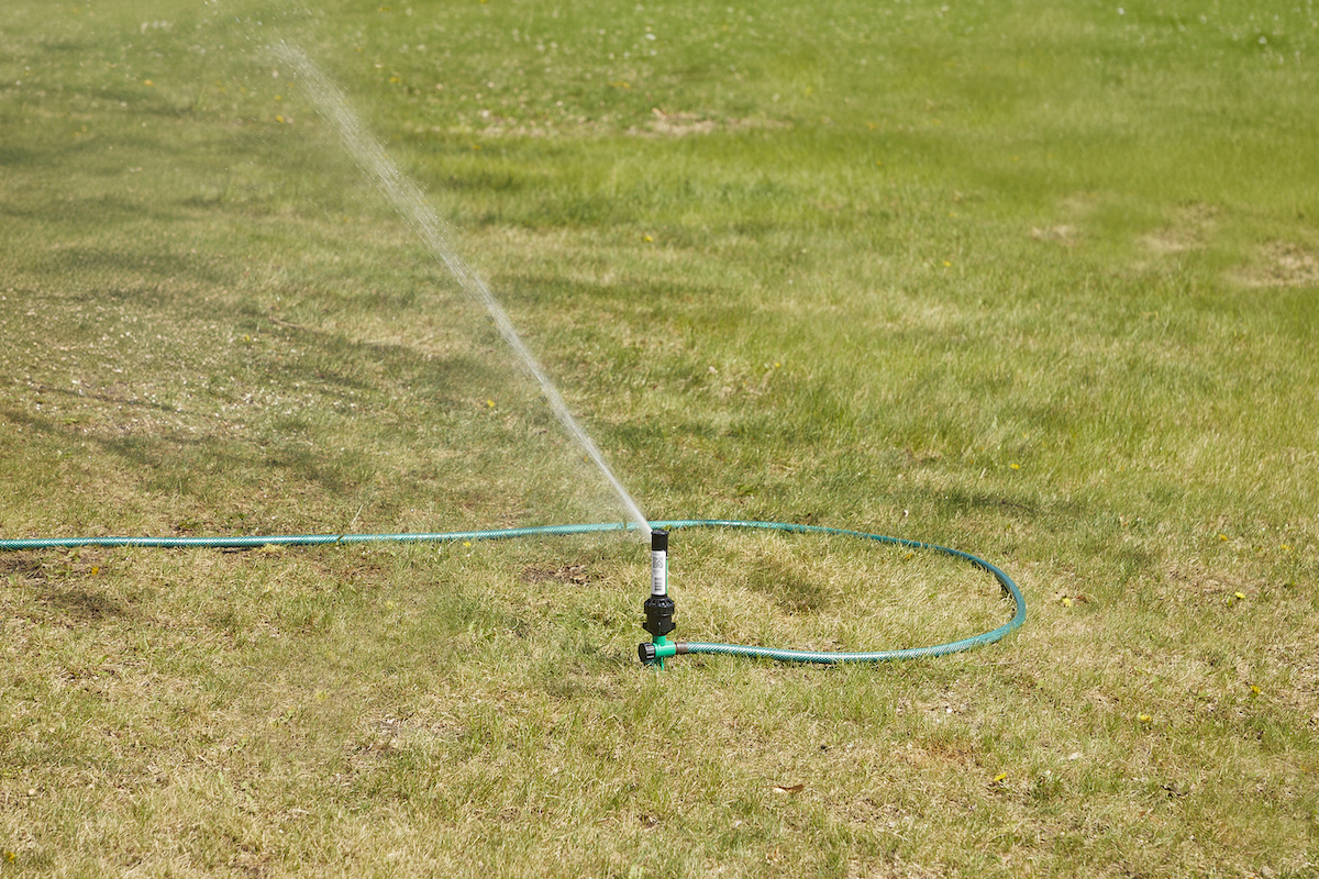 A lawn sprinkler attached to a garden hose waters the grass.