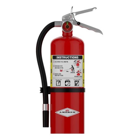  The Amerex 5-Pound B402 ABC Fire Extinguisher on a white background.