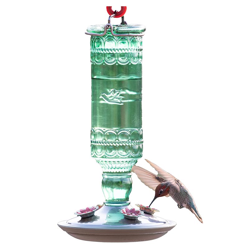 Plow & Hearth Glass Window Hummingbird Feeder & Reviews