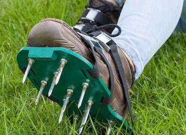 13 Low-Cost Solutions for an Ugly Lawn - Bob Vila