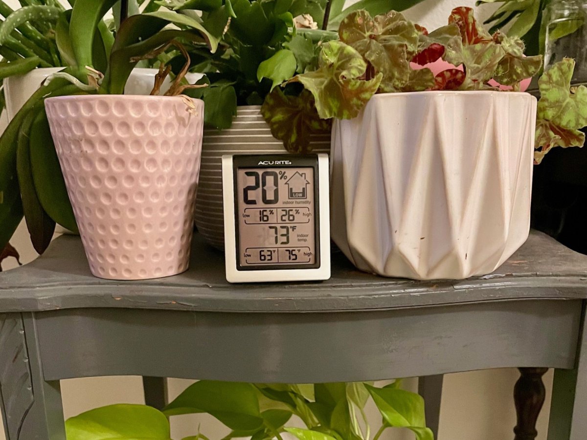 AcuRite hygrometer with plants 