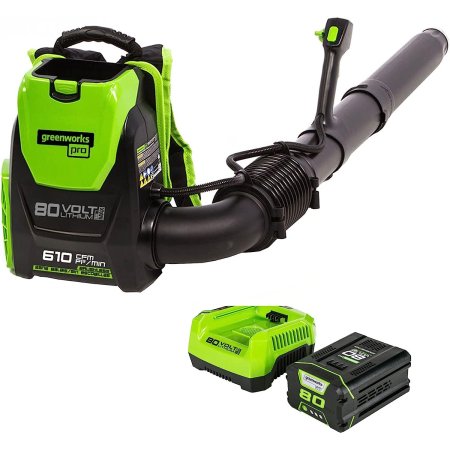  The Greenworks 80V Brushless Backpack Leaf Blower on a white background.