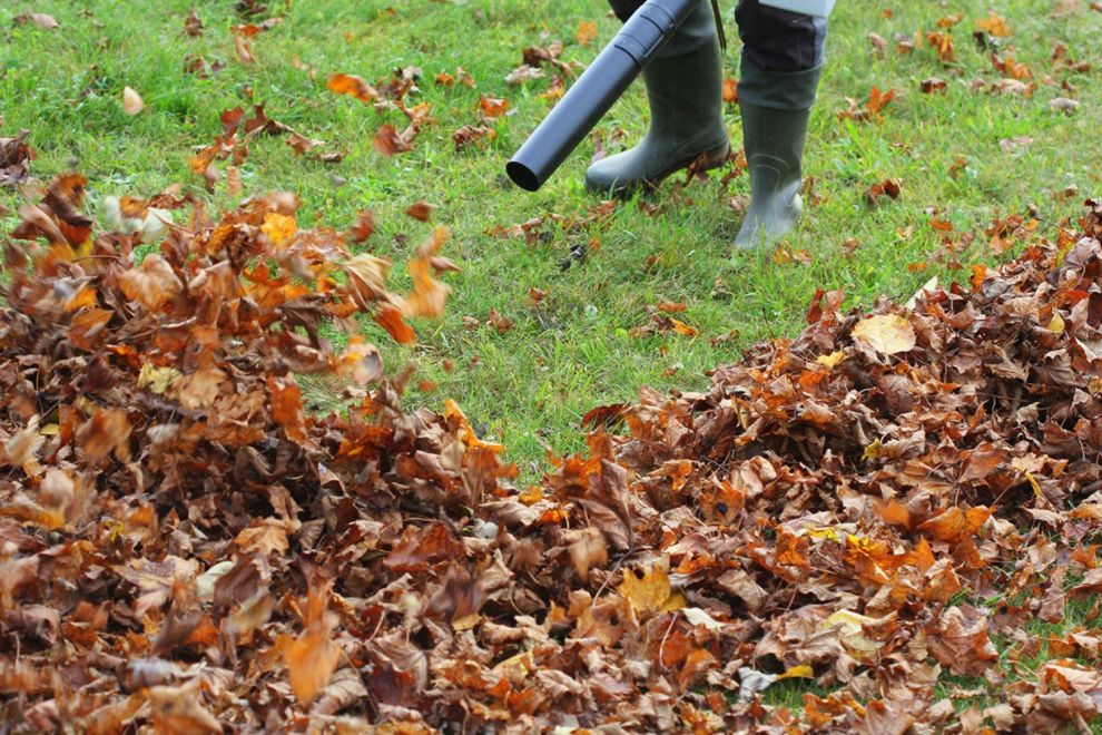 The 10 Best Battery-Powered Leaf Blowers of 2024 - Top Picks by Bob Vila