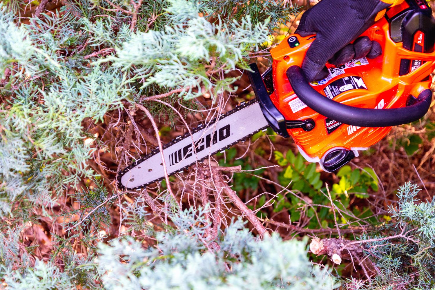 The best battery chainsaw option in use cutting branches off a pine tree