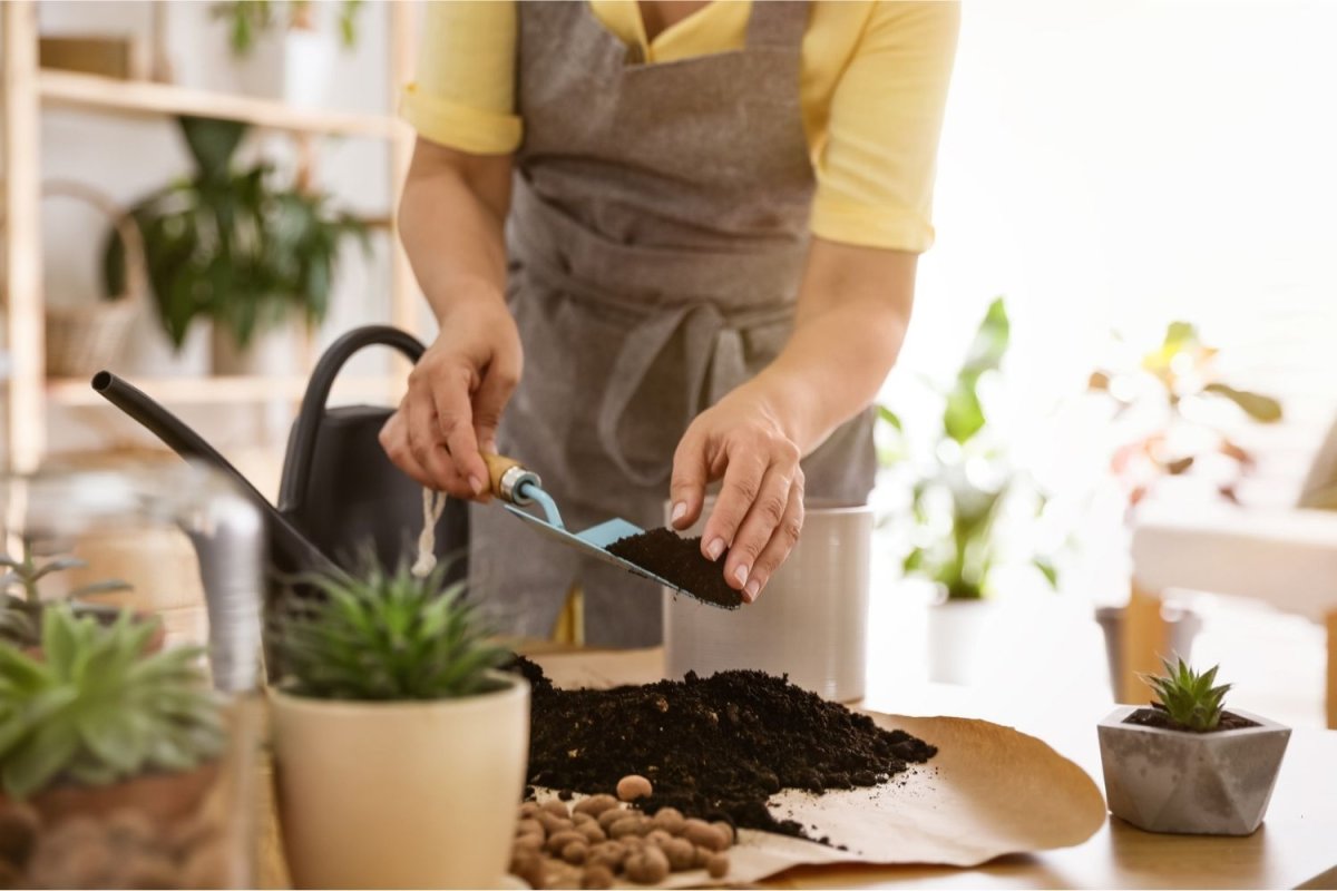 The Best Potting Soil Options