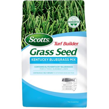  Scotts Turf Builder Grass Seed Kentucky Bluegrass Mix on a white background