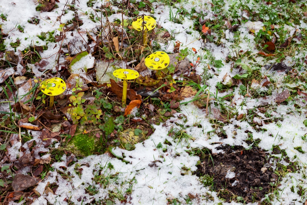 The best ultrasonic pest repeller in a yard covered in patchy snow.