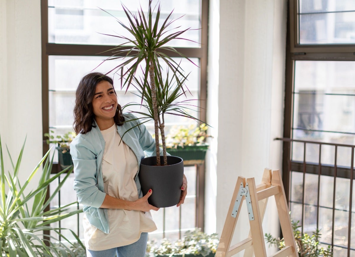 A woman carrying a potted houseplant smiles.