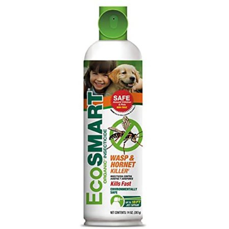  The Best Wasp Spray Options: EcoSMART Organic Wasp and Hornet Killer