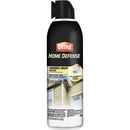  The Best Wasp Spray Options: Ortho Home Defense Hornet & Wasp Killer