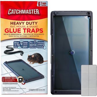 The 8 Best Rat Traps (2024 Guide)