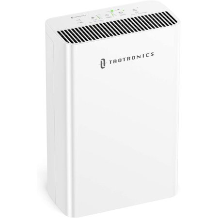  The Black Friday Appliance Deals Option: TaoTronics HEPA H13 Air Purifier for Home