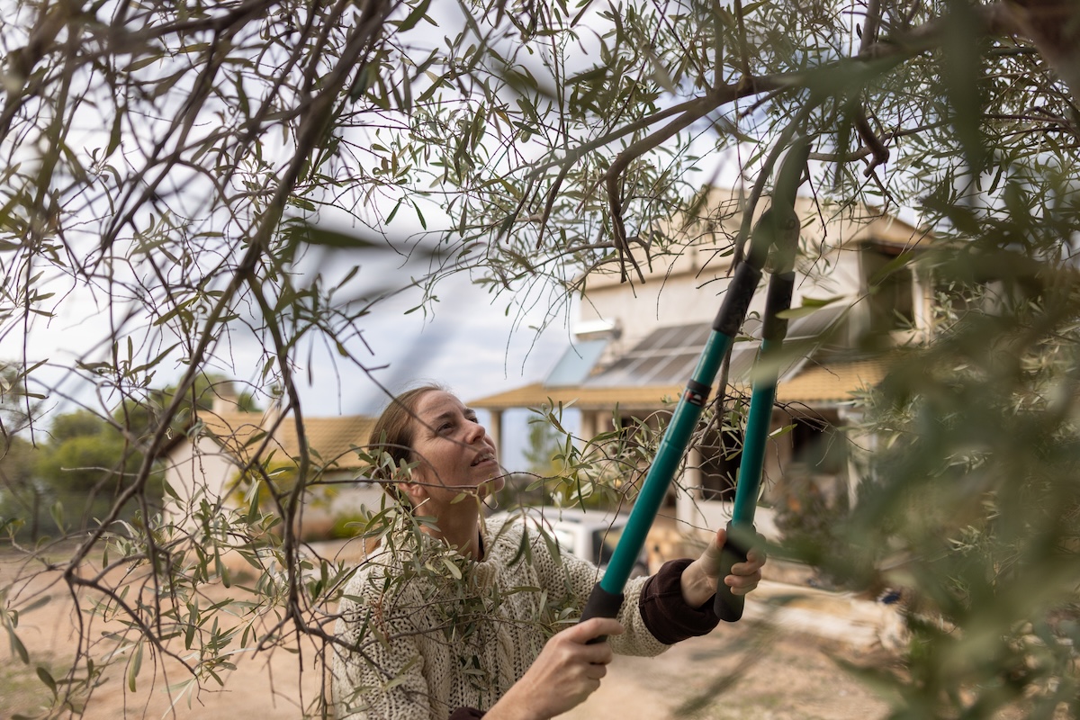 A woman uses a branch cutter to trim a tree.