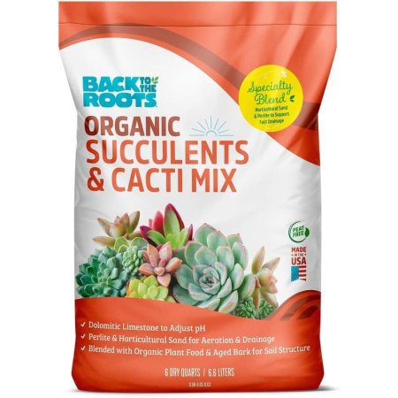  Back to the Roots Succulents & Cacti Mix