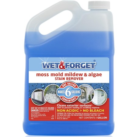  Bottle of Wet & Forget Moss, Mold, Mildew & Algae Stain Remover