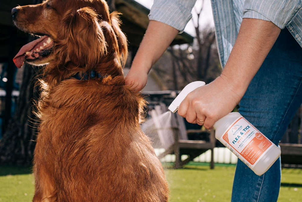 The Best Flea Spray Options