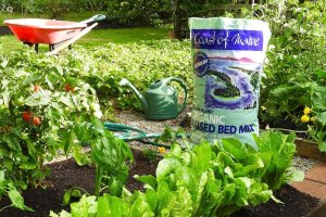 The best soil for raised beds options sits outside on the ground next to several thriving raised beds