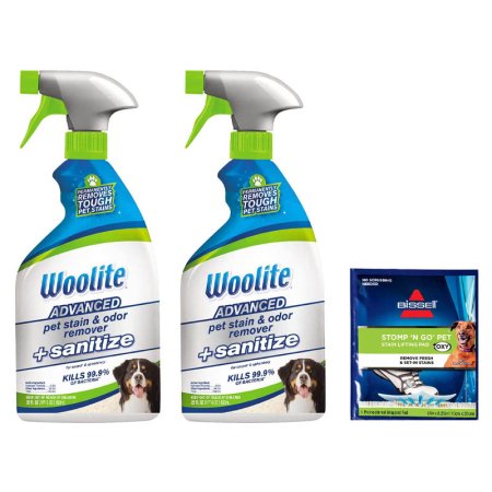  The Best Carpet Deodorizer Option: Woolite Advanced Pet Stain & Odor Remover