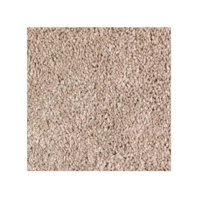 The Best Carpet for Pets Option: Mohawk SmartStrand Forever Clean