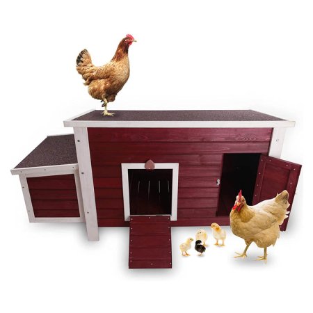  The Best Chicken Coop Option: Petsfit Weatherproof Chicken Coop with Nesting Box