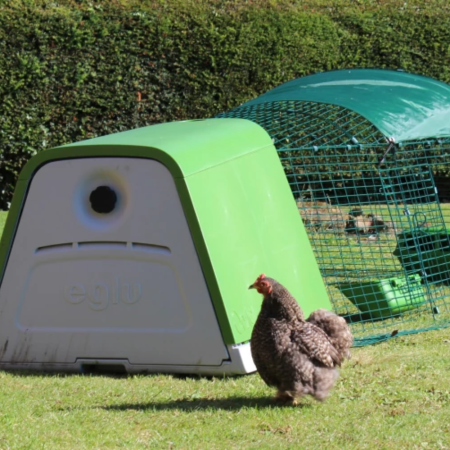  The Best Chicken Coops Option: Omlet Eglu Go UP Portable Chicken Coop