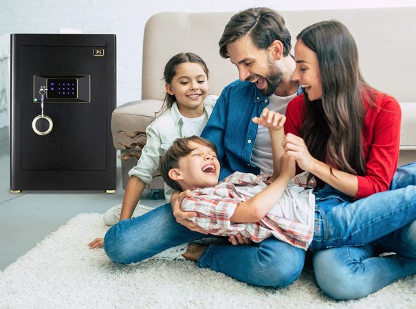 The Best Home Safes of 2024