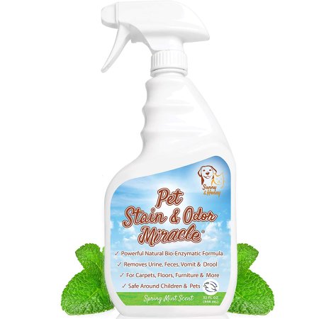  Best Pet Stain Remover Options: Pet Stain & Odor Miracle