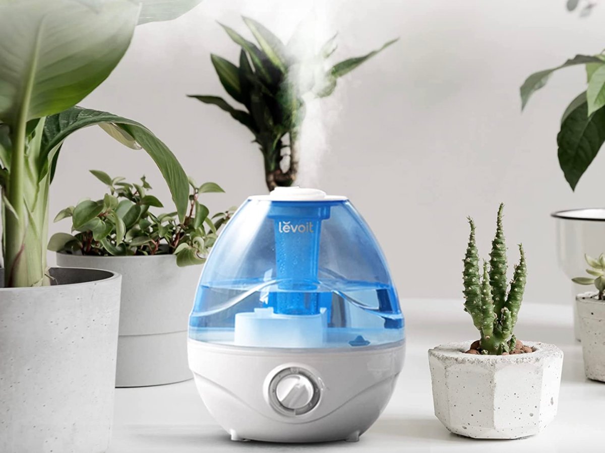 Best Humidifier for Plants