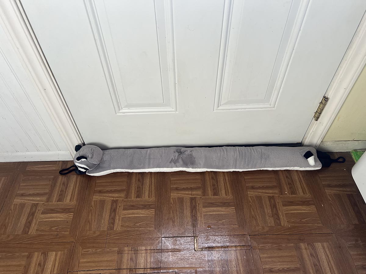 The Best Door Draft Stopper Magzo Racoon