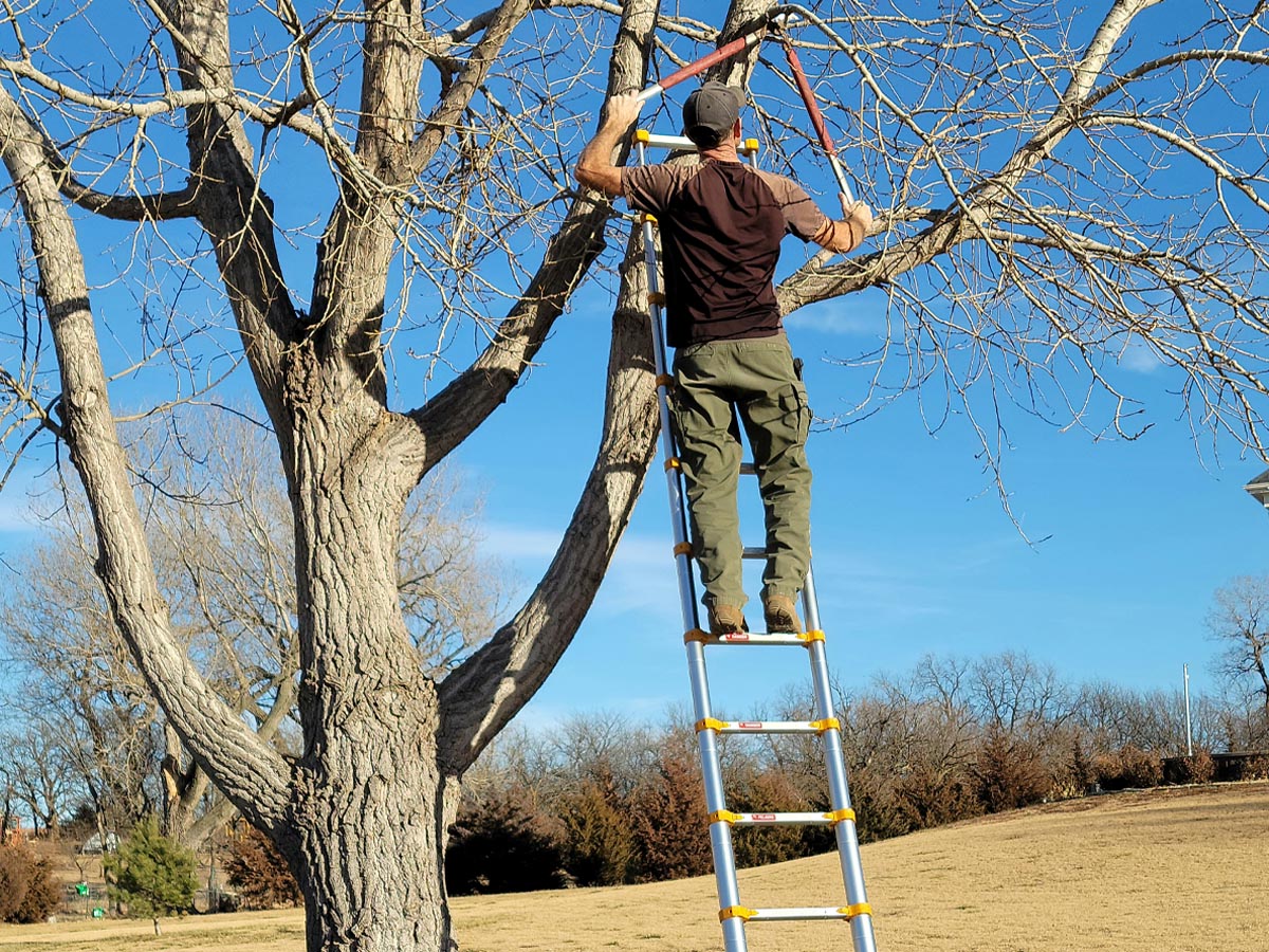 The Best Telescoping Ladder Options