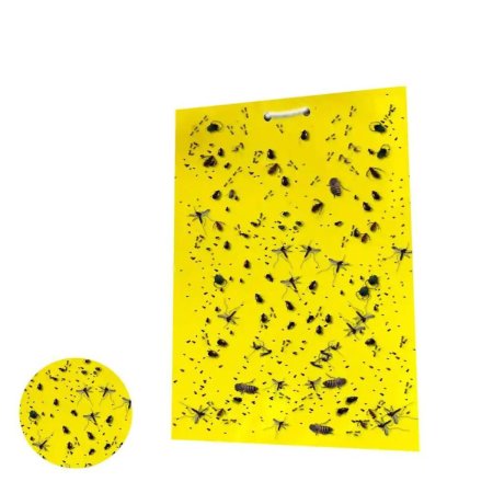  The Best Insecticide Option: Lightsmax Dual-Sided Yellow Sticky Traps