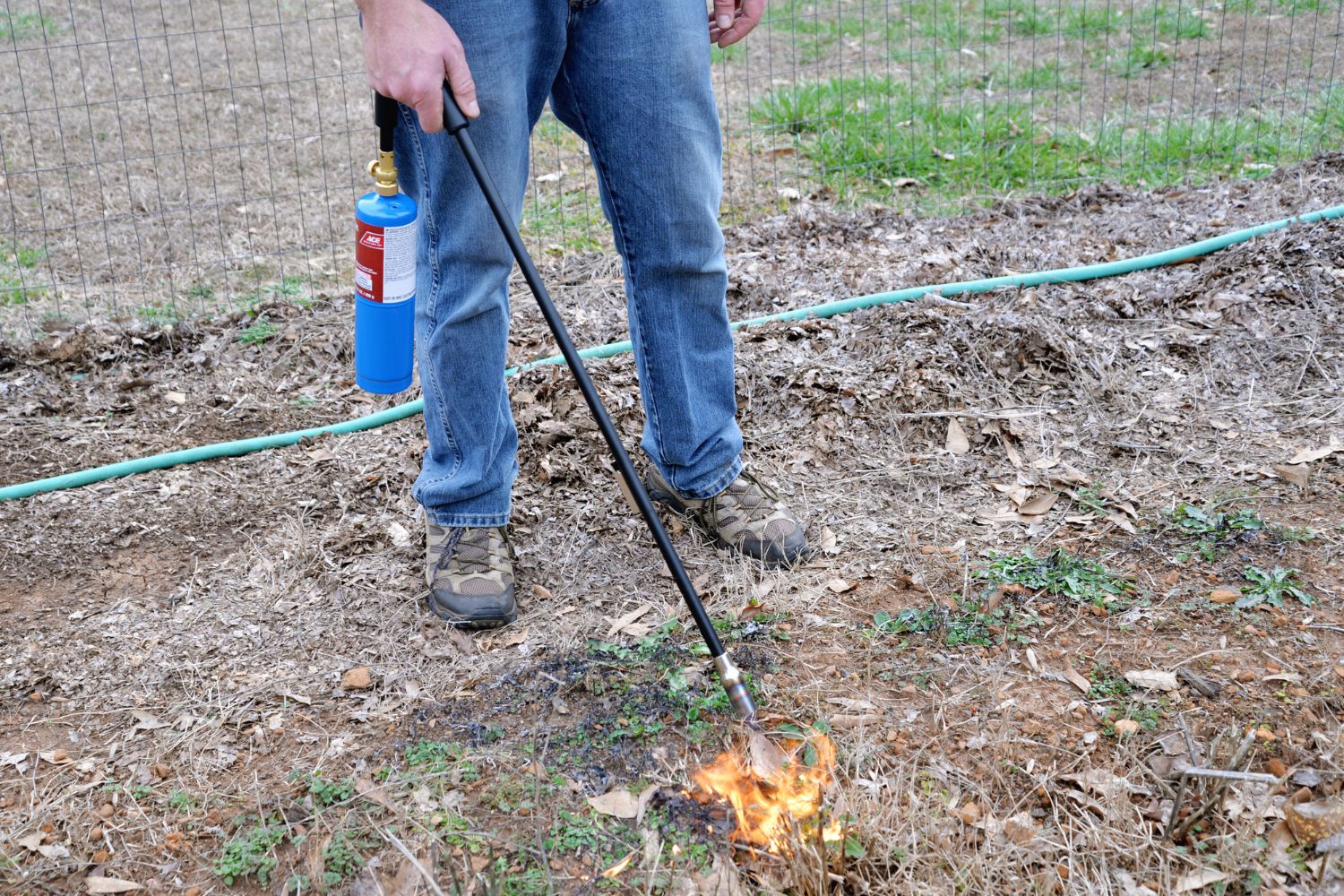 The Best Weed Torch Options