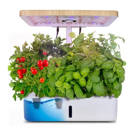  The Moistenland Indoor Garden Starter Kit full of growing herbs and a small cherry tomato plant.