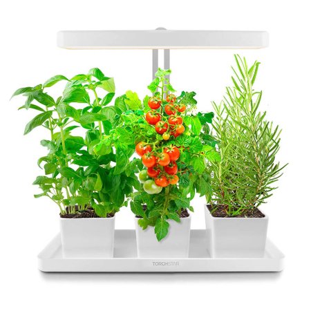  The Torchstar LED Indoor Garden Kit with its light shining on three growing plants: basil, tomato, and rosemary.