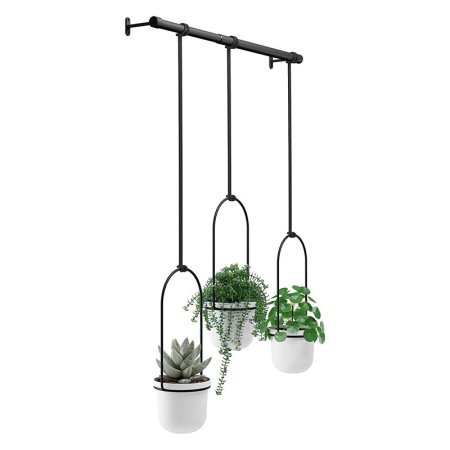  The Best Planter Options: Umbra Triflora Hanging Planter for Window