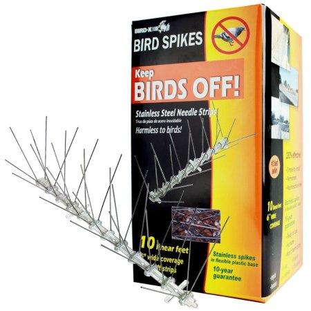  The Best Bird Deterrent Option: Bird-X STS-10-R Stainless Steel Bird Spikes