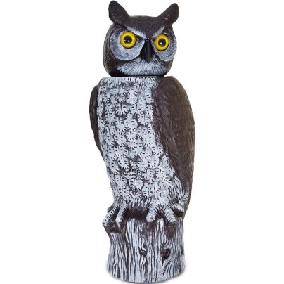 The Best Bird Deterrent Option: Dalen Gardeneer Natural Enemy Scarecrow Owl Decoy