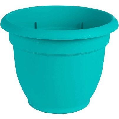 The Best Self Watering Planter Options: Bloem Ariana Self Watering Planter, 6"