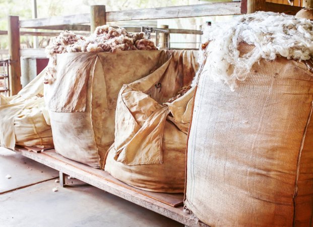 Bags of Sheep Wool