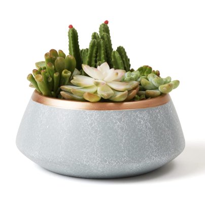 Best Pots for Aloe Plants Option: La Jolíe Muse Large Succulent Planter Pots