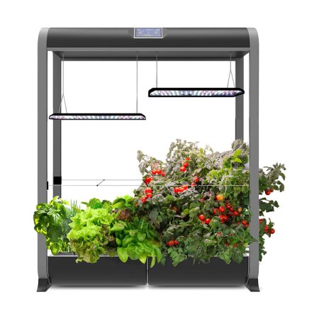  The Best AeroGarden Option: AeroGarden Farm 24XL w Salad Bar Seed Kit