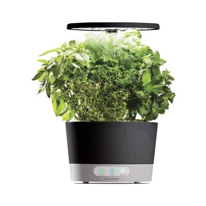 The Best AeroGarden Option: AeroGarden Harvest 360 Indoor Hydroponic Garden