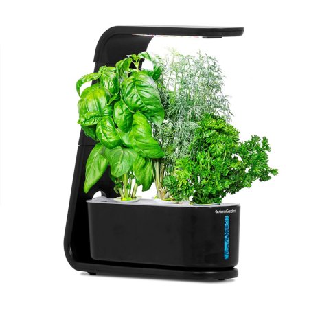  The Best AeroGarden Option: AeroGarden Sprout