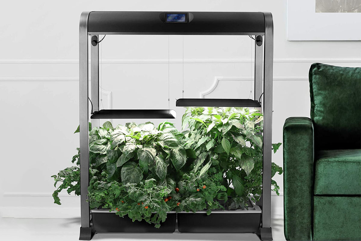 The Best AeroGarden Options